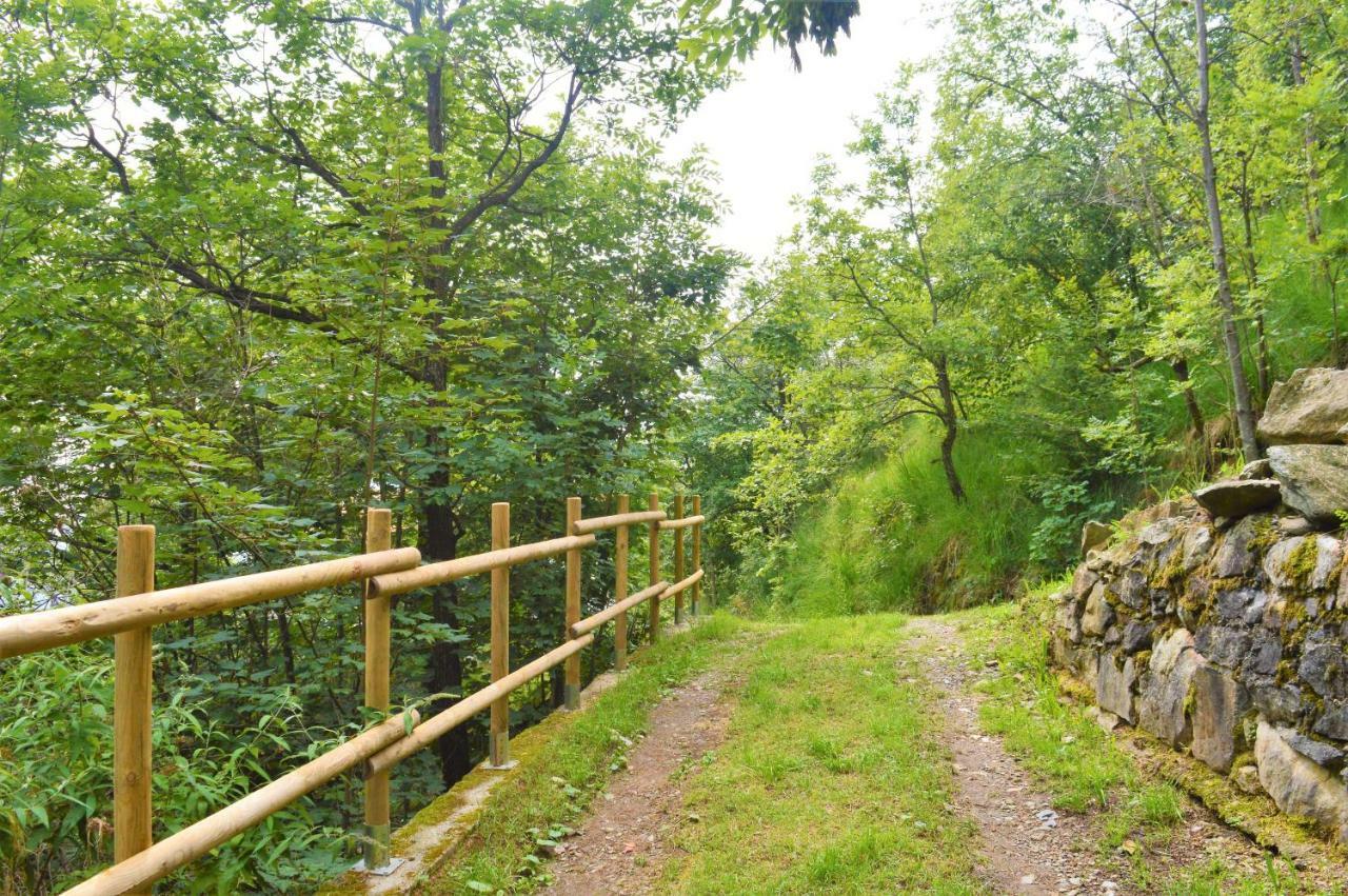Gold Cave Casa Vacanze Relax Nel Bosco Appartamenti Pessinetto Екстериор снимка