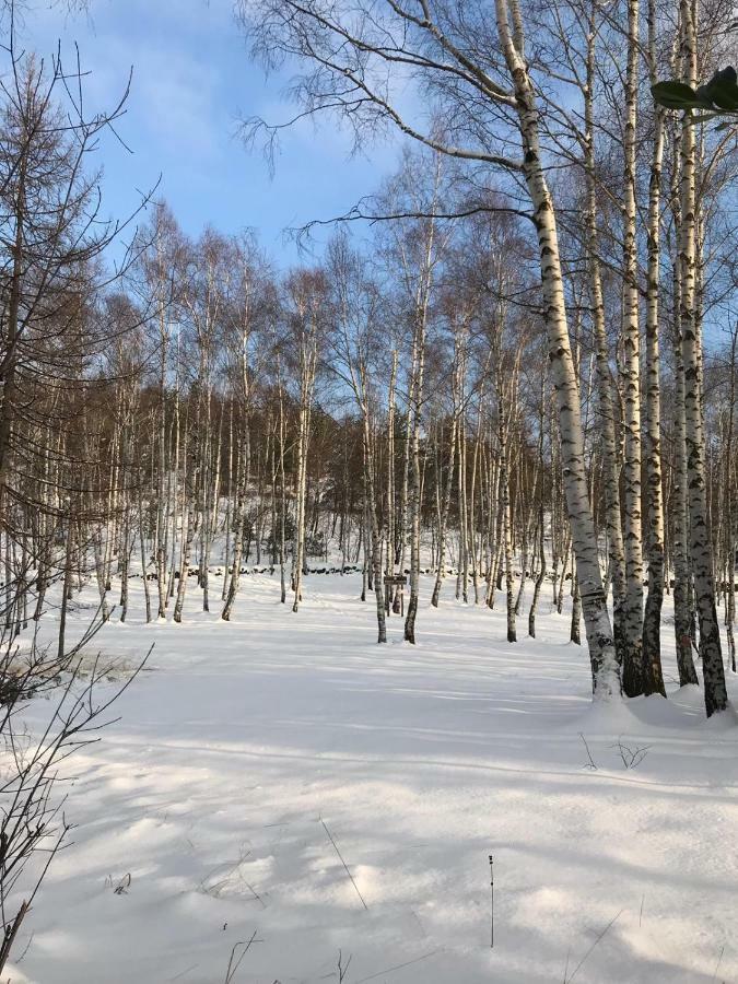 Gold Cave Casa Vacanze Relax Nel Bosco Appartamenti Pessinetto Екстериор снимка